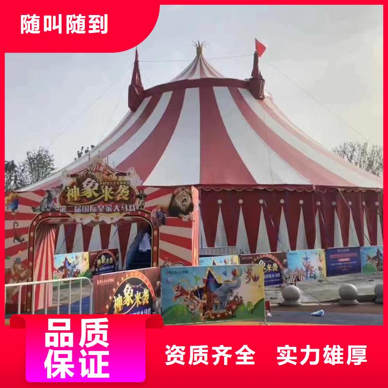 哪里有羊驼租赁的图片案例