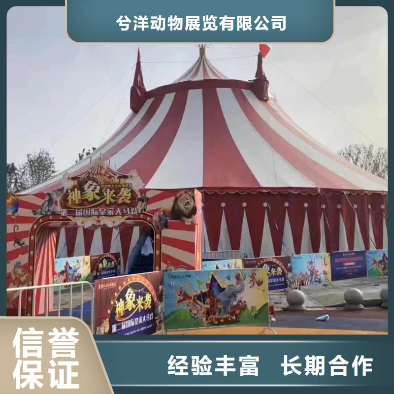 马戏团/羊驼马戏团表演出租租赁口碑商家