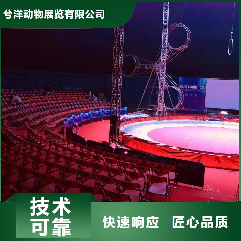 马戏团/羊驼美人鱼表演全市24小时服务