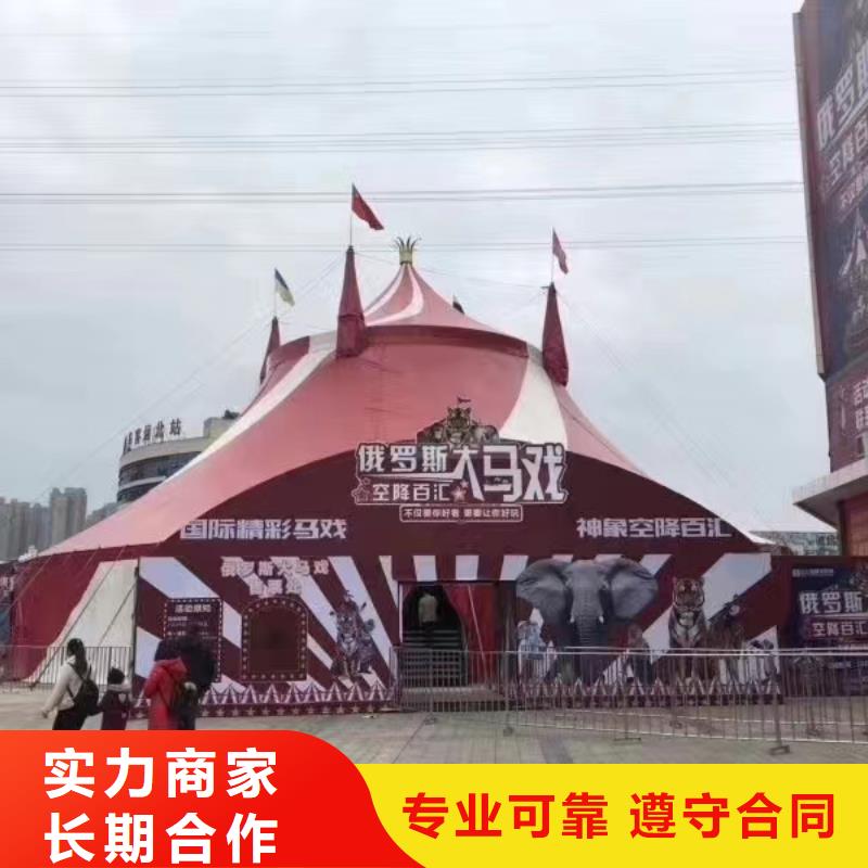 哪里有羊驼租赁的图片案例