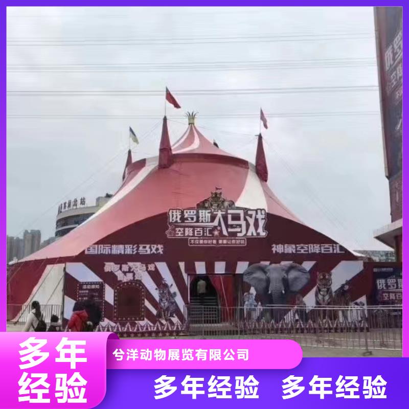附近羊驼出租公司公司电话