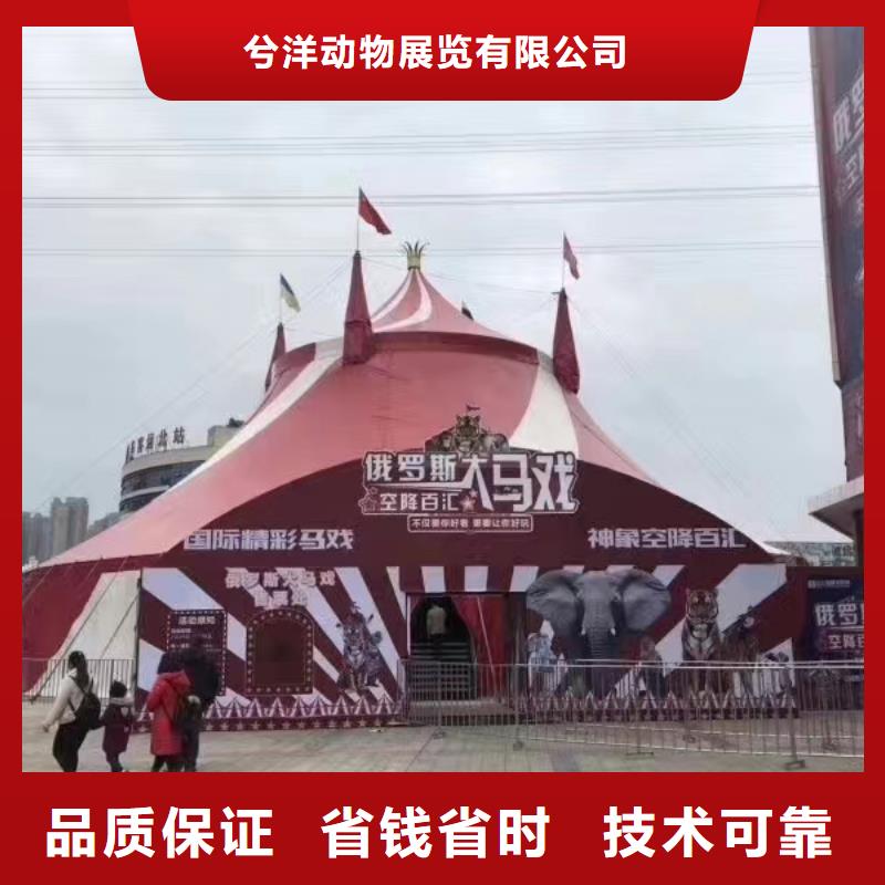 鹿岛活动出租价格优惠