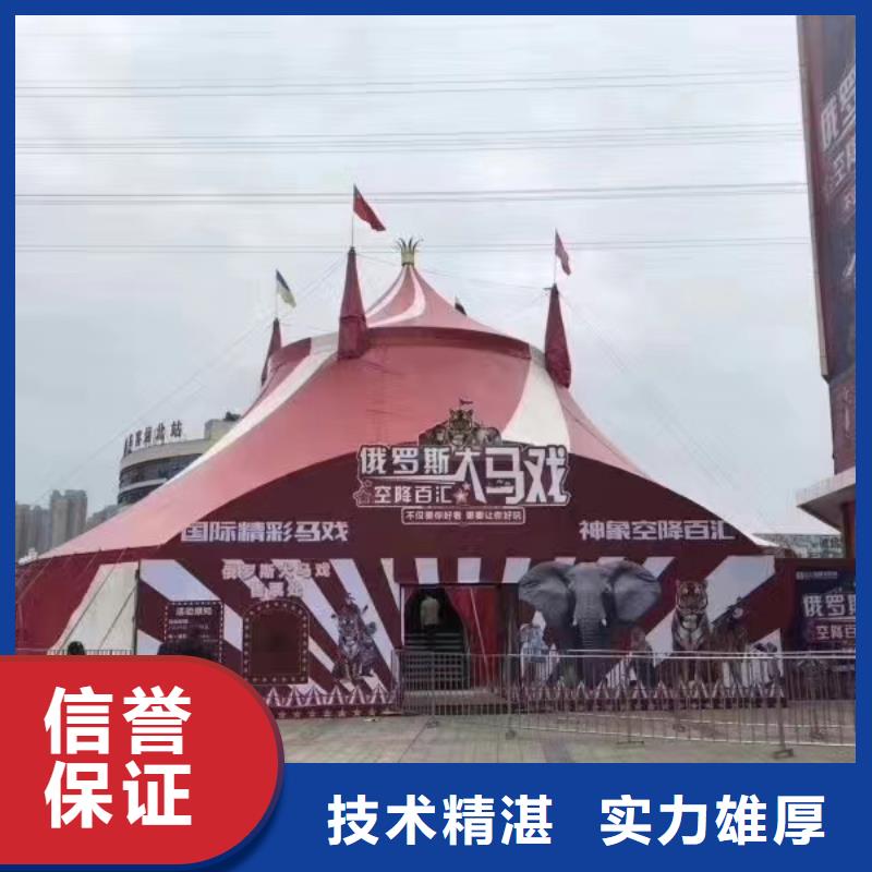 动物表演出租