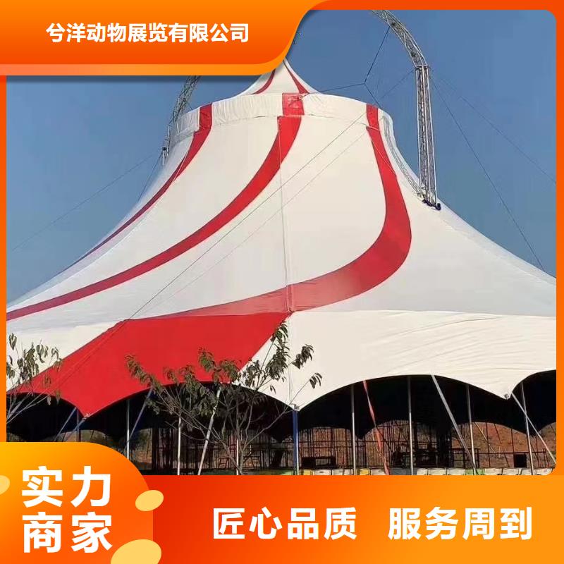 哪有出租马戏团表演的联系厂家