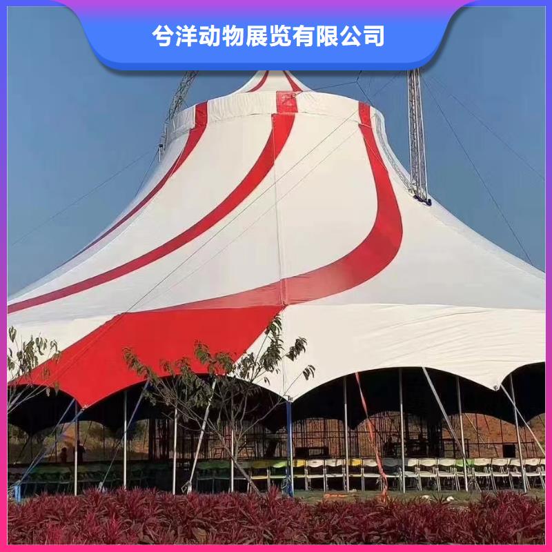 附近动物表演出租