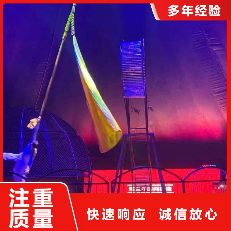 哪里有出租羊驼的点击查看