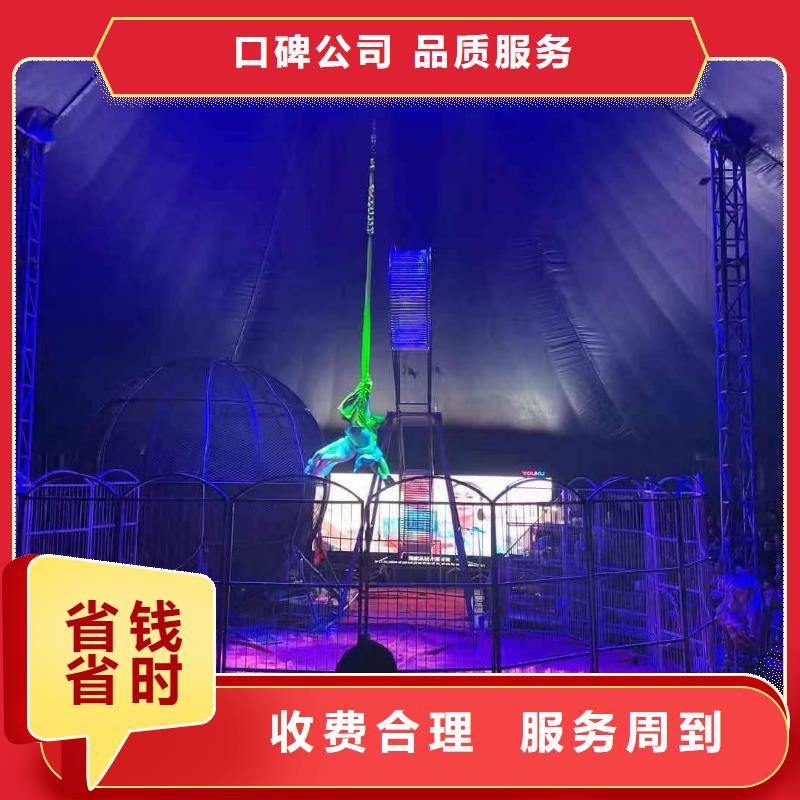 羊驼出租公司电话