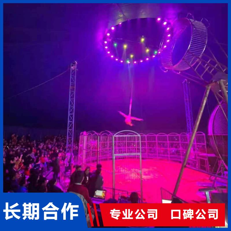 租赁表演马戏团免费资源