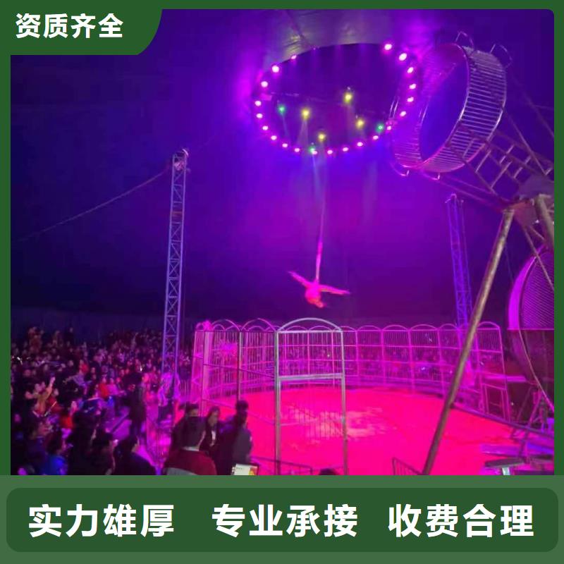 马戏团/羊驼美人鱼表演全市24小时服务