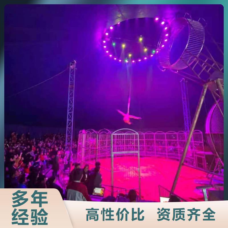 附近羊驼出租公司公司电话