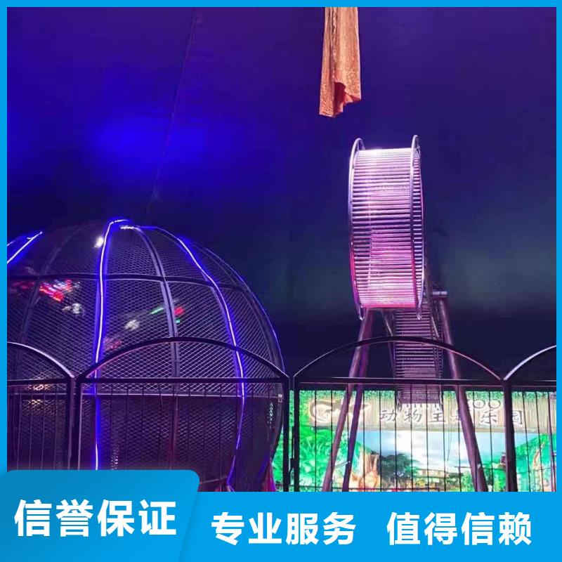 羊驼出租联系电话