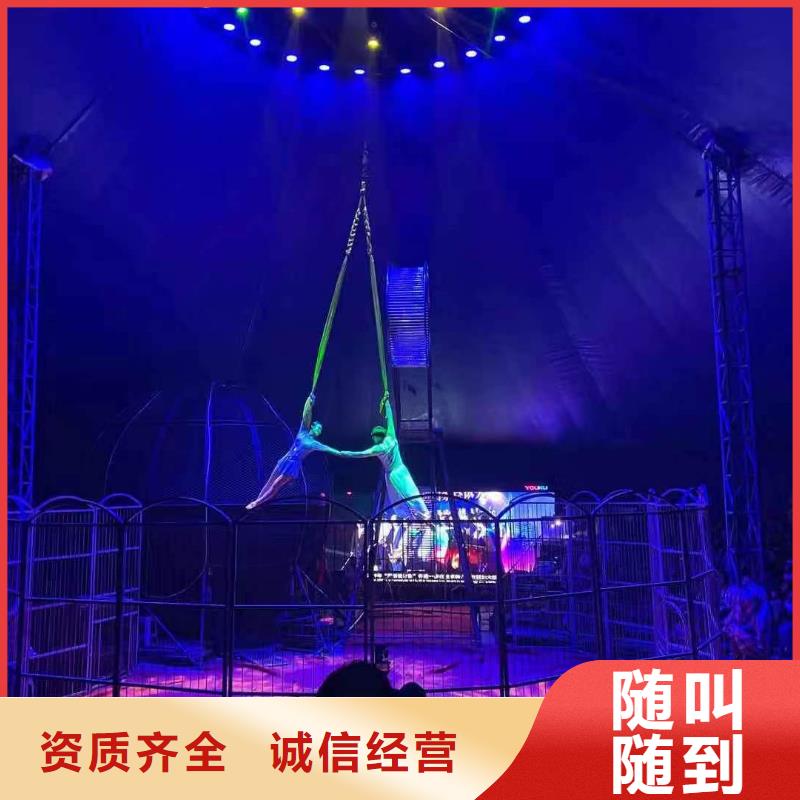 马戏团/羊驼【海狮杂技表演】长期合作