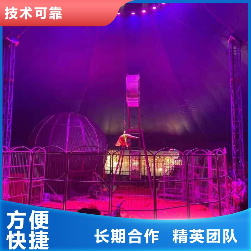 哪里有出租羊驼的点击查看
