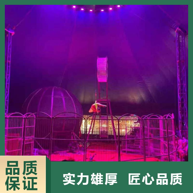 哪有租赁羊驼的活动方案