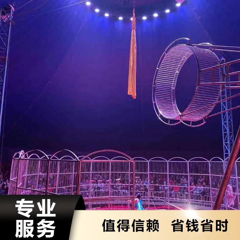 动物表演出租货源充足