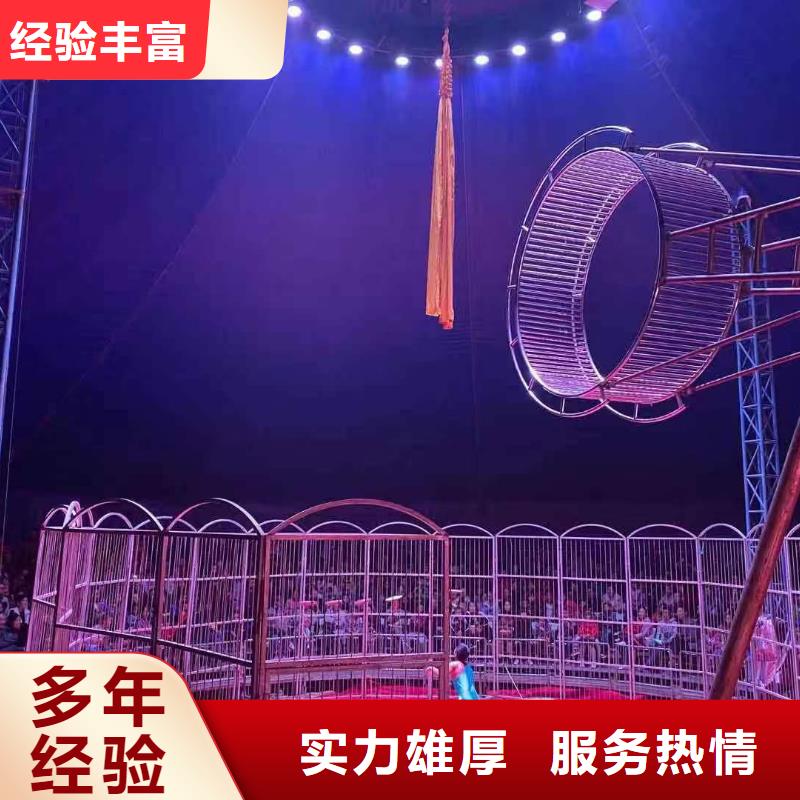 动物表演租赁