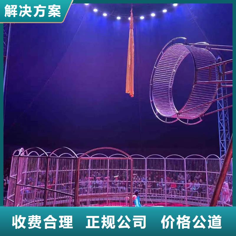 羊驼租赁公司活动方案