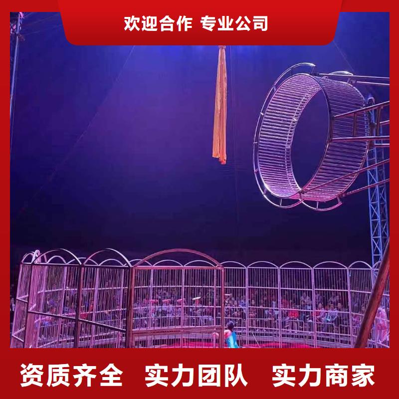 附近羊驼出租公司暖场互动