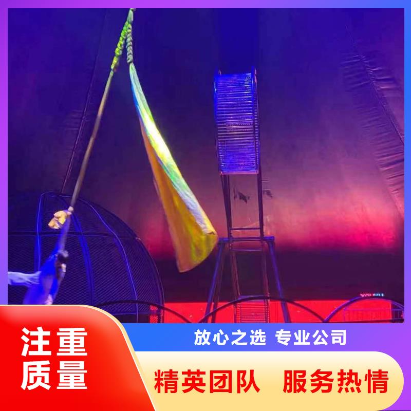 租赁马戏团表演活动案例