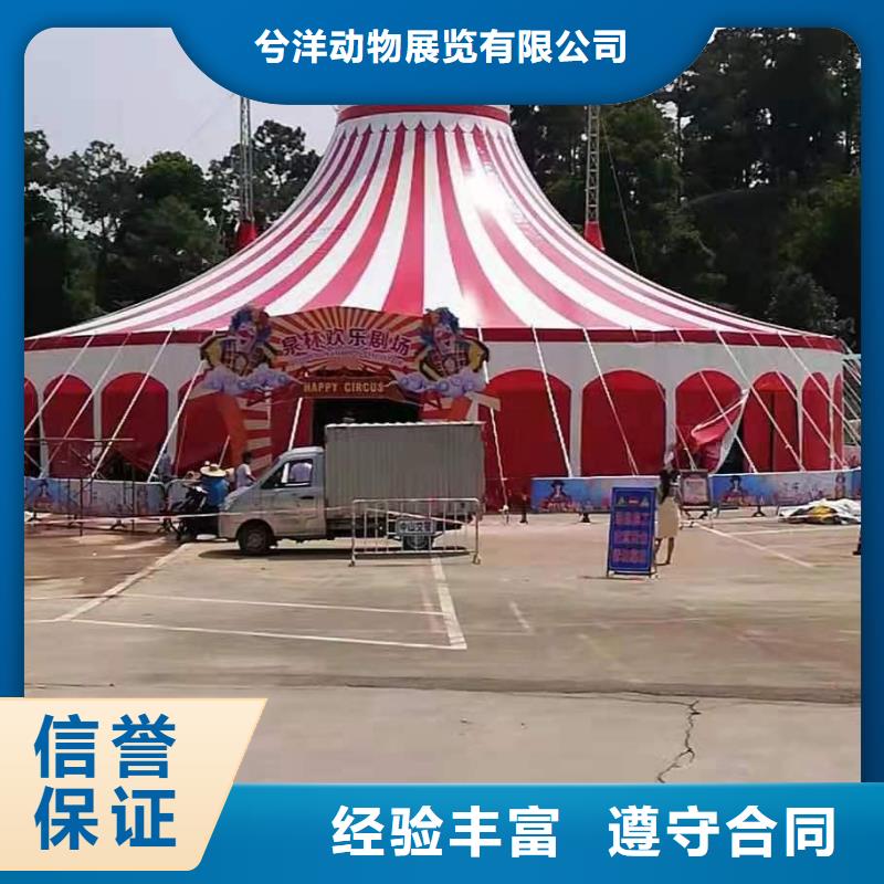 羊驼出租联系方式