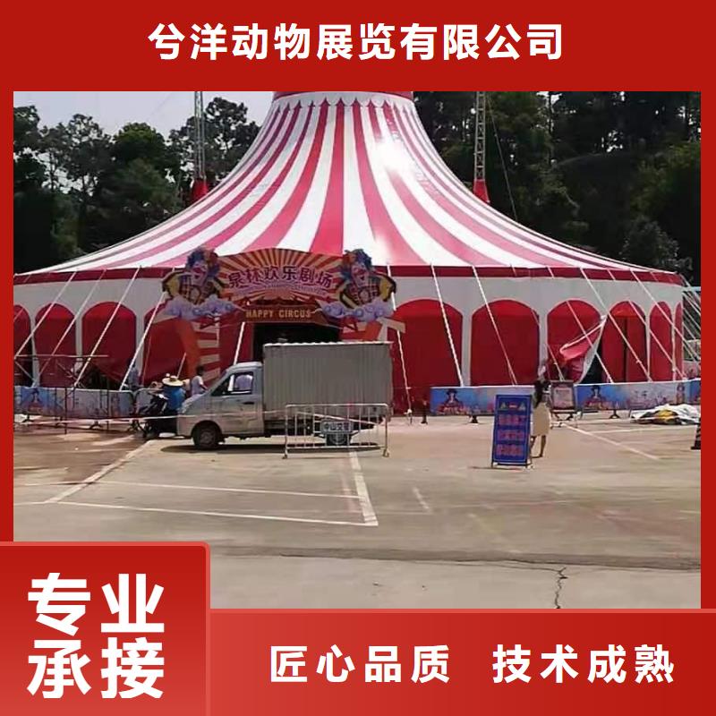 萌宠展出租