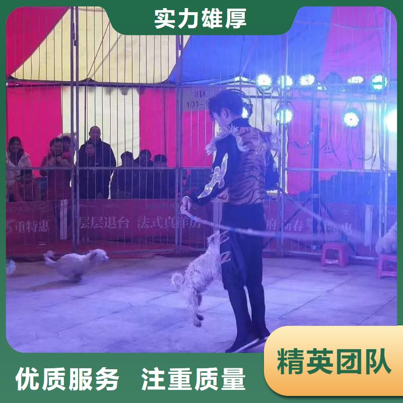 哪有出租马戏团表演的联系厂家