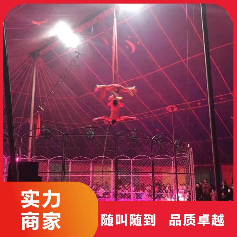 哪有出租羊驼的