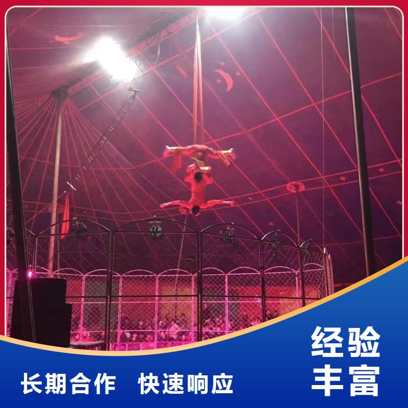哪里有租赁马戏团的
