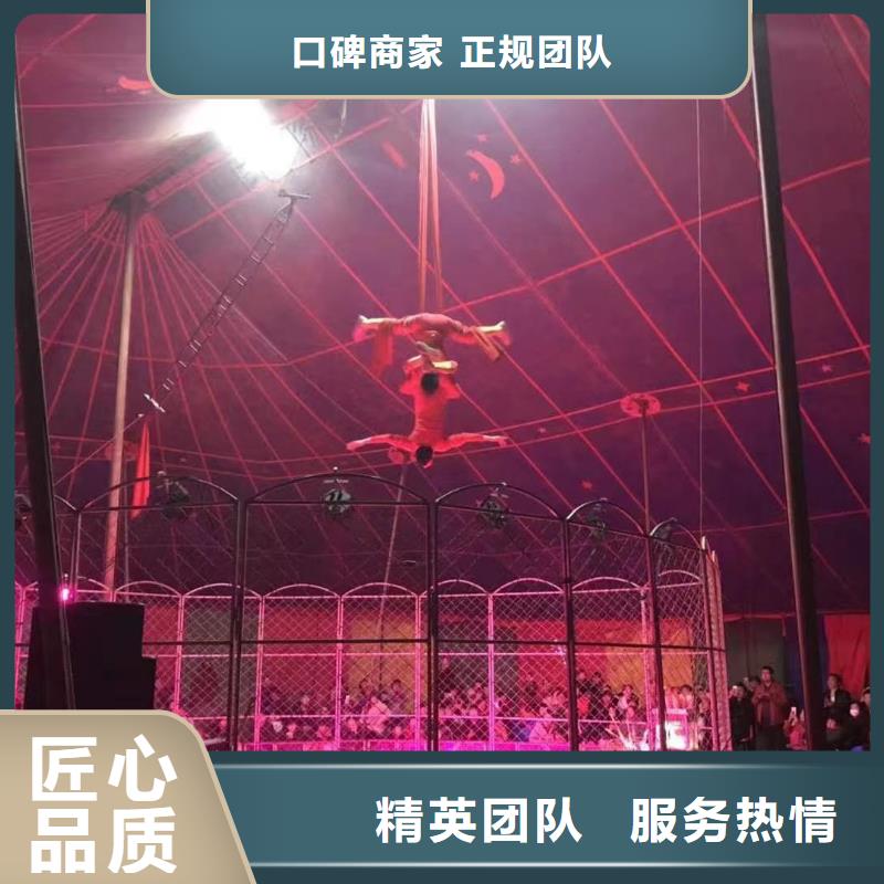 哪里有出租羊驼的附近