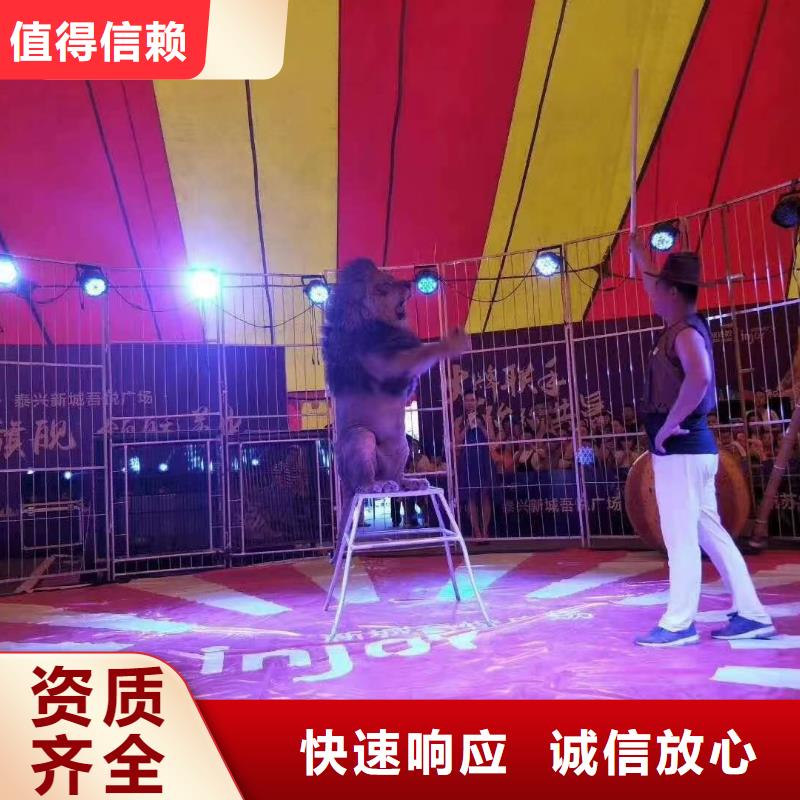 羊驼出租