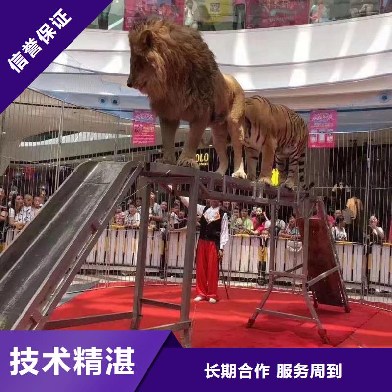 萌宠展出租一手资源