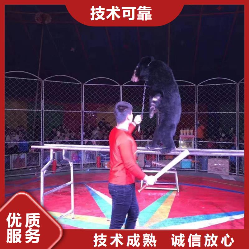 租赁表演马戏团免费资源
