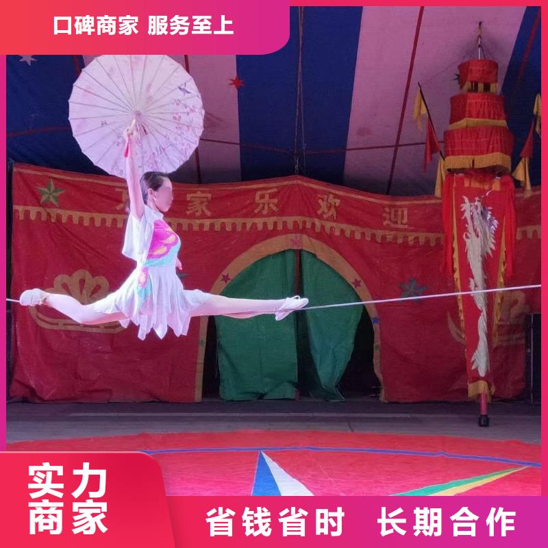 动物表演出租货源充足