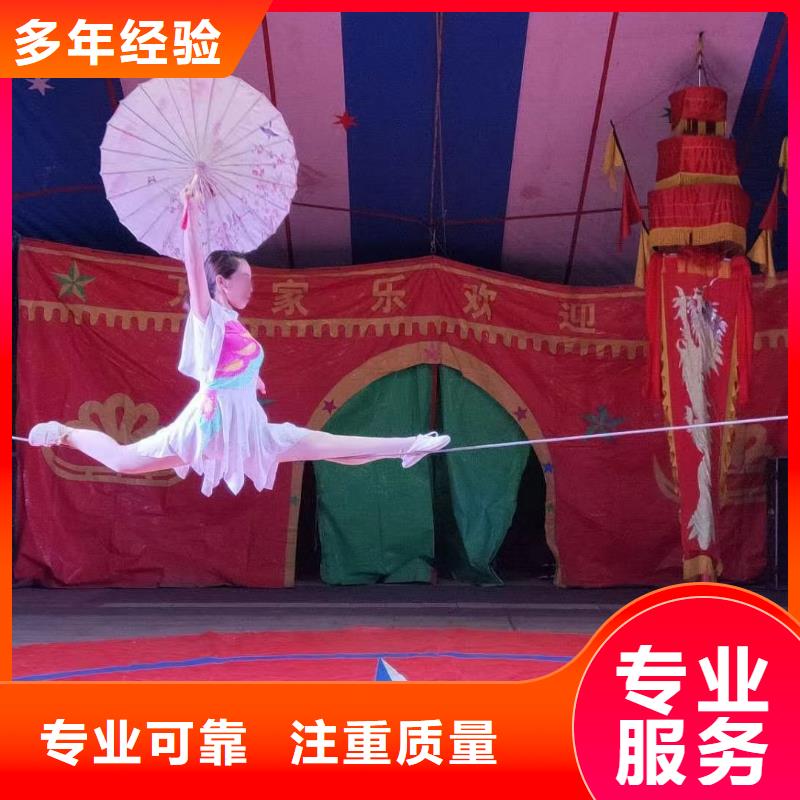哪有出租羊驼的活动方案
