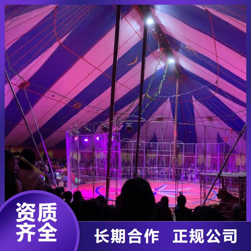 百鸟展租赁诚信厂家