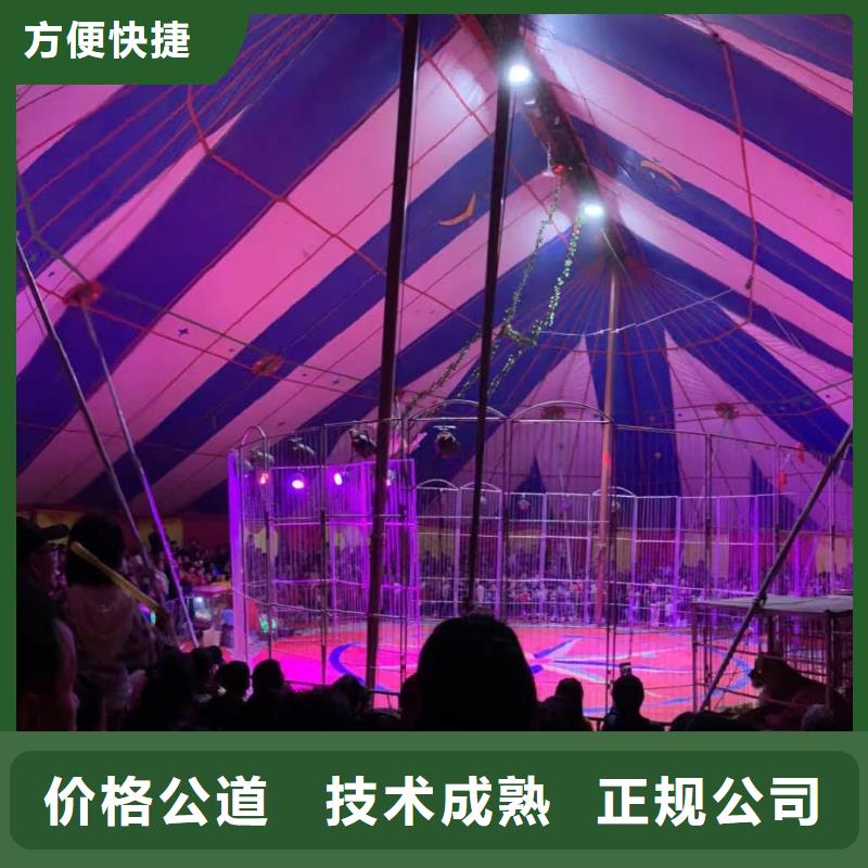 羊驼出租联系方式