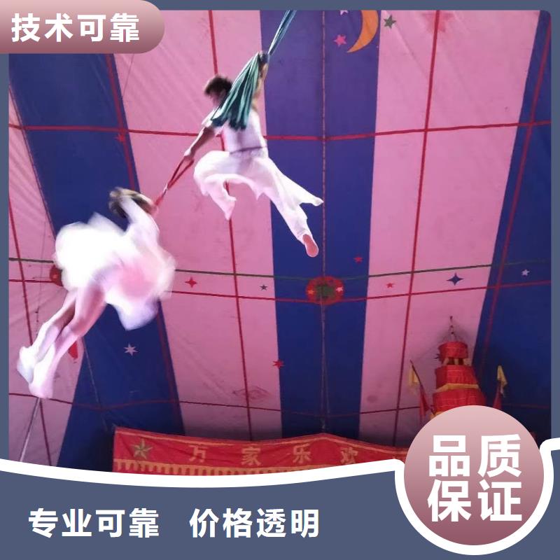马戏团/羊驼出租表演萌宠良好口碑
