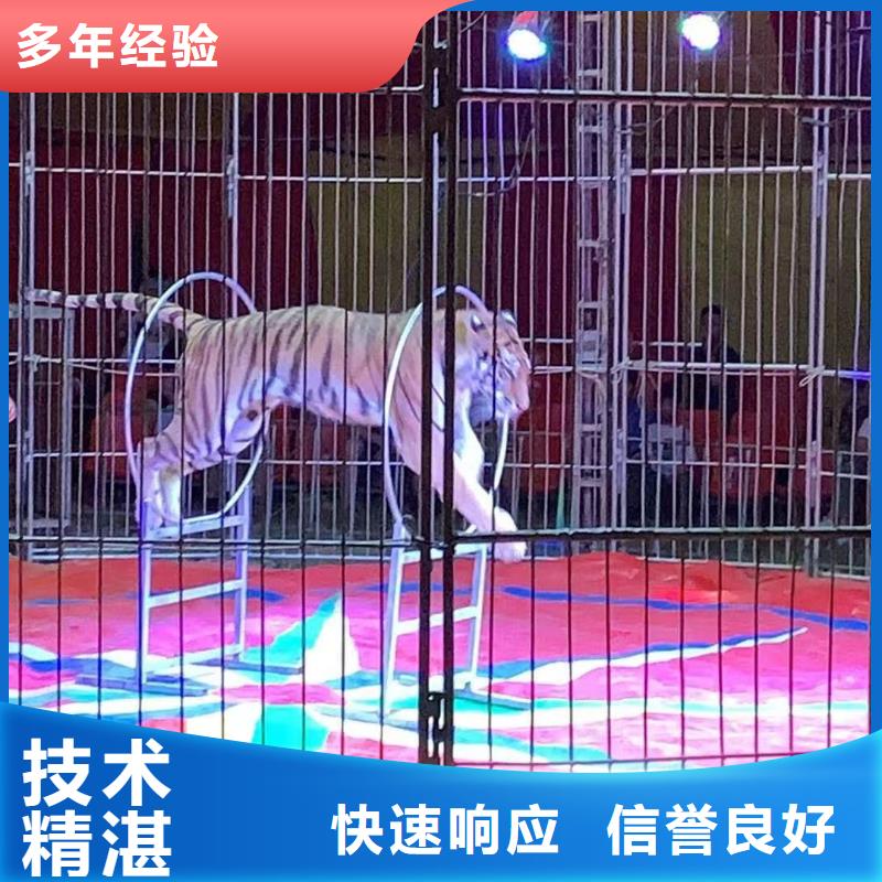 动物表演出租