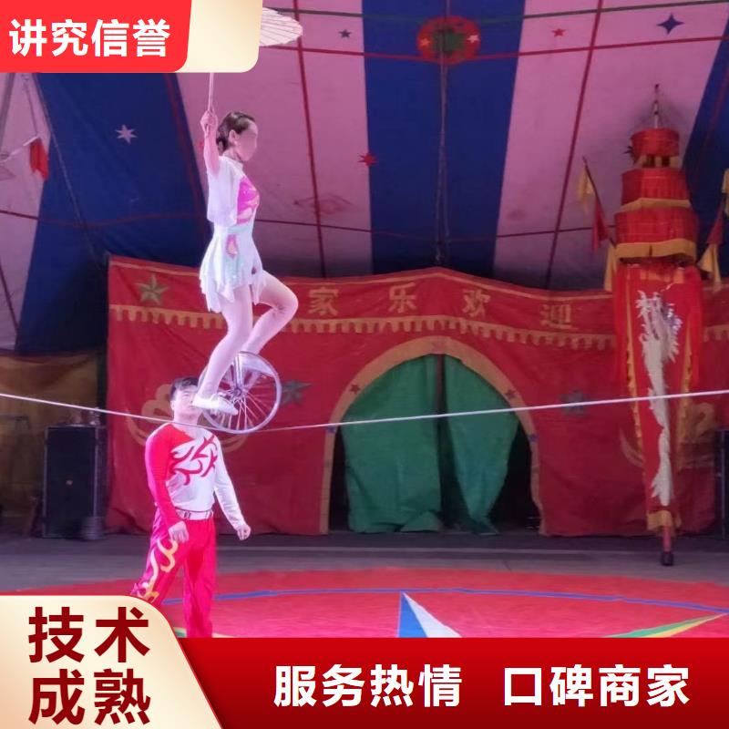 哪有羊驼出租的-我公司资质齐全