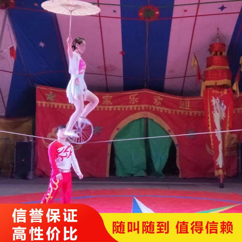 动物表演出租
