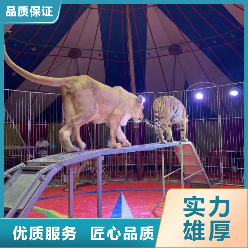 动物出租联系方式