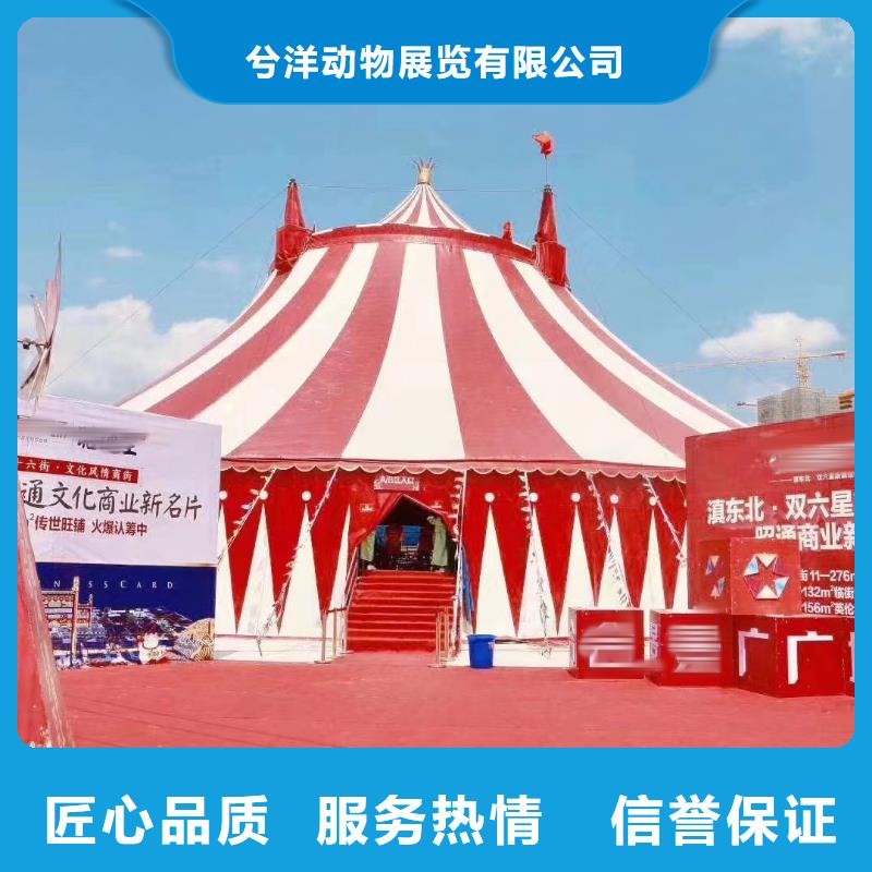 动物表演租赁联系方式