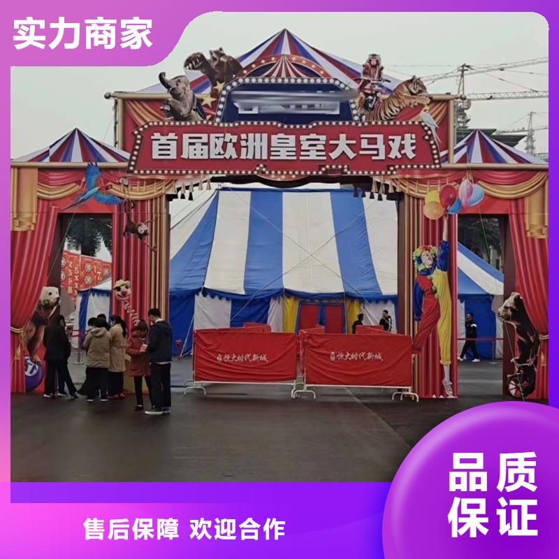 马戏团/羊驼海狮表演出租讲究信誉