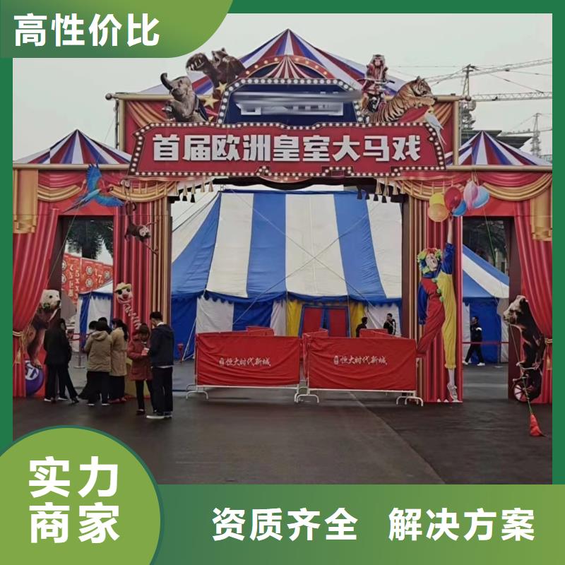 【马戏团/羊驼】,海狮表演出租公司