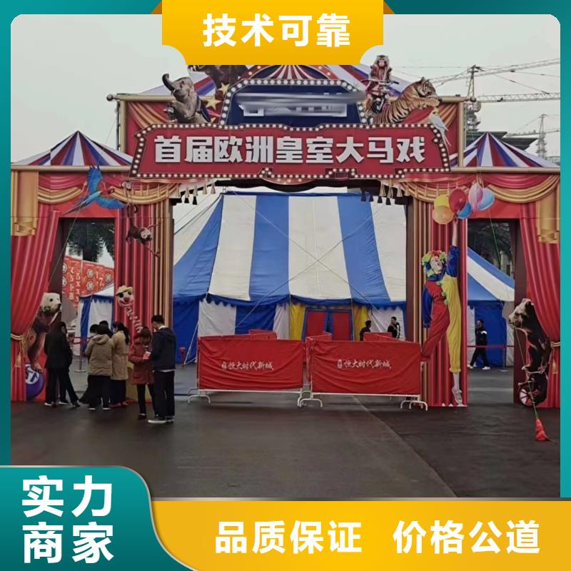 环球飞车表演租赁资源丰富