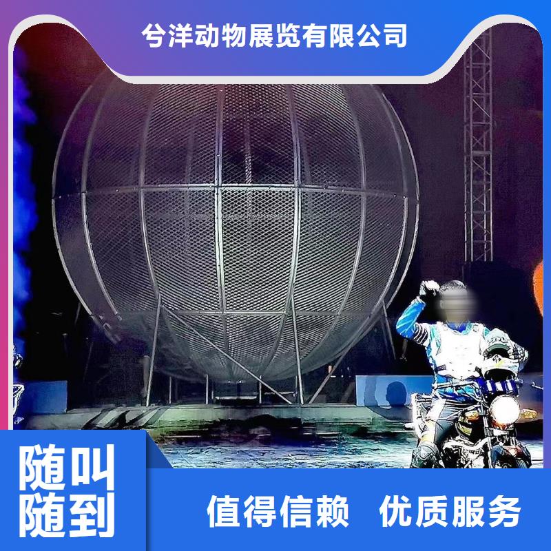 动物表演出租联系电话