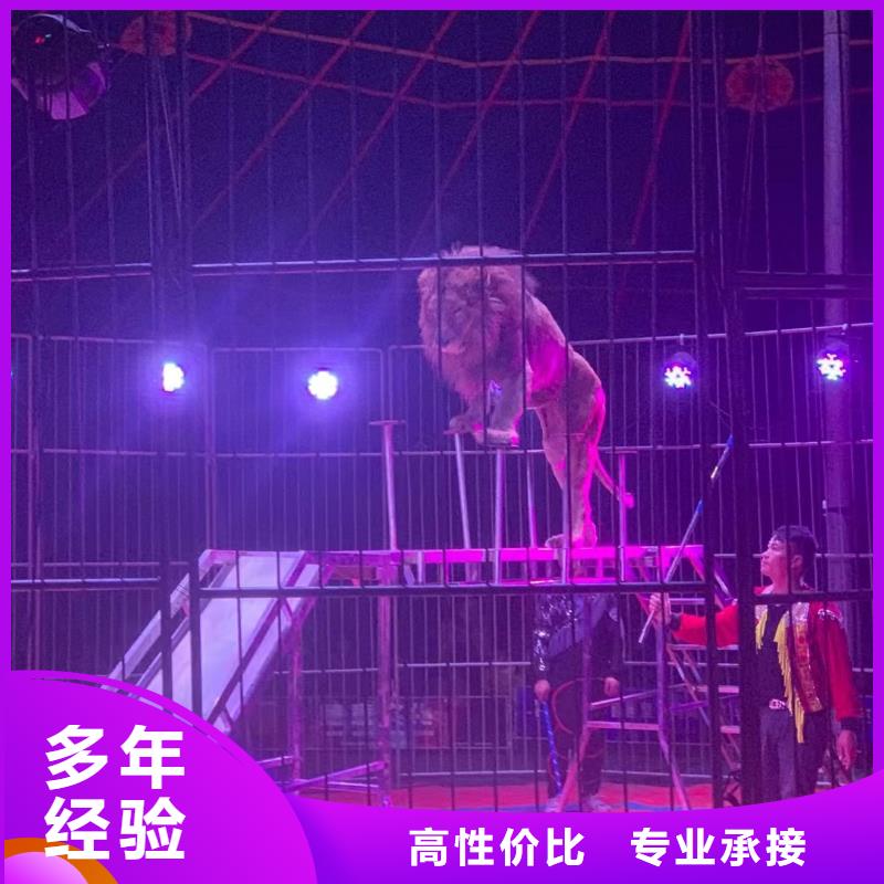 动物出租