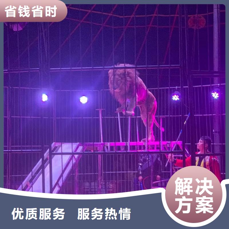 租赁马戏团表演活动案例