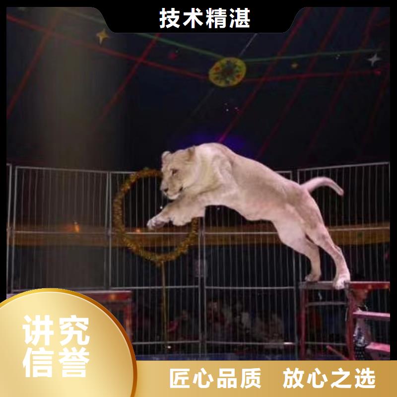 羊驼租赁公司电话