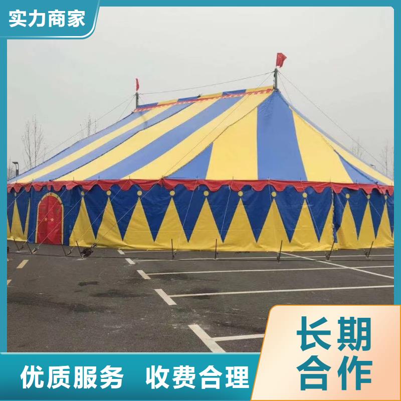 动物表演租赁品种多